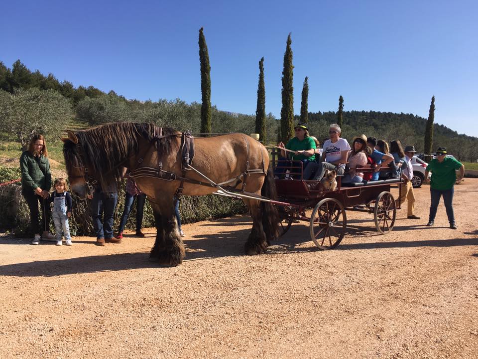 Horse-drawn carriage trip around Domaine des Masques